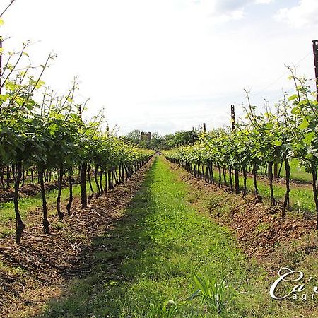 Agriturismo Ca'Mattei 페스칸티나 외부 사진