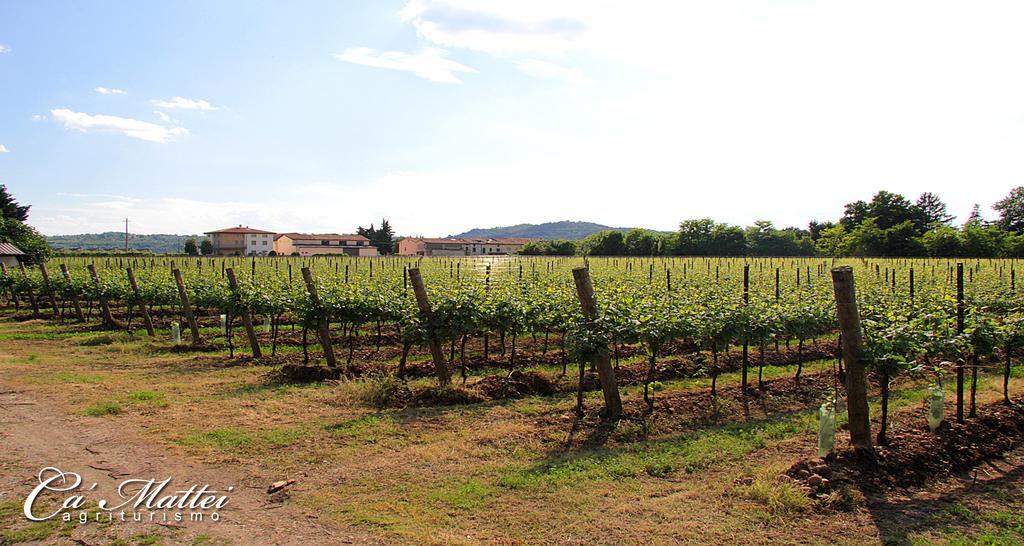 Agriturismo Ca'Mattei 페스칸티나 외부 사진