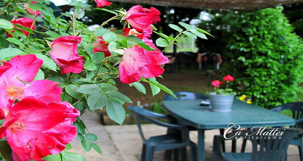 Agriturismo Ca'Mattei 페스칸티나 외부 사진